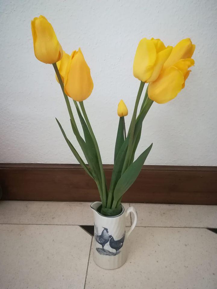 Tulipes à offrir